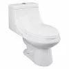 Project Source Elongated Toilet - 1-Piece - Vitreous China - 3.8-L/6-L -Project Source Shop 16905015 L