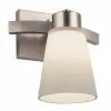 Project Source Vanity Light - 1 Light - 60 W - Brushed Nickel 1 Project Source Vanity Light - 1 Light - 60 W - Brushed Nickel -Project Source Shop 30739574 L