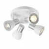 Ceiling Light - 4 Lights- Metal/Glass - White/Brushed Nickel -Project Source Shop 43855121 L