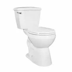 Project Source Total Eco 2-Piece Toilet with Microban Seat - 4.8-L