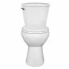 Project Source Total Eco 2-Piece Toilet with Microban Seat - 4.8-L -Project Source Shop 78195087b L