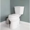 Project Source Total Eco 2-Piece Toilet with Microban Seat - 4.8-L -Project Source Shop 78195087c L