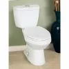 Project Source Evalin 2-Piece Toilet - Dual Flush - 4.1-L/6-L 5 Project Source Evalin 2-Piece Toilet - Dual Flush - 4.1-L/6-L -Project Source Shop 78195088b L