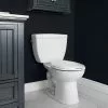 Project Source Minuet 2-Piece Toilet - Round Bowl - 6-L 8 Project Source Minuet 2-Piece Toilet - Round Bowl - 6-L -Project Source Shop 78195093c L