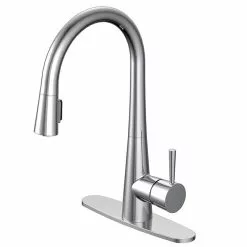 Project Source Pull-Out Kitchen Faucet - Single-Lever - Chrome Finish