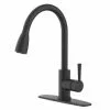 Project Source Black Industrial 1-Handle Pull-Down Kitchen Faucet -Project Source Shop 80375189 L
